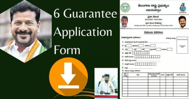 6 Guarantee Application Form